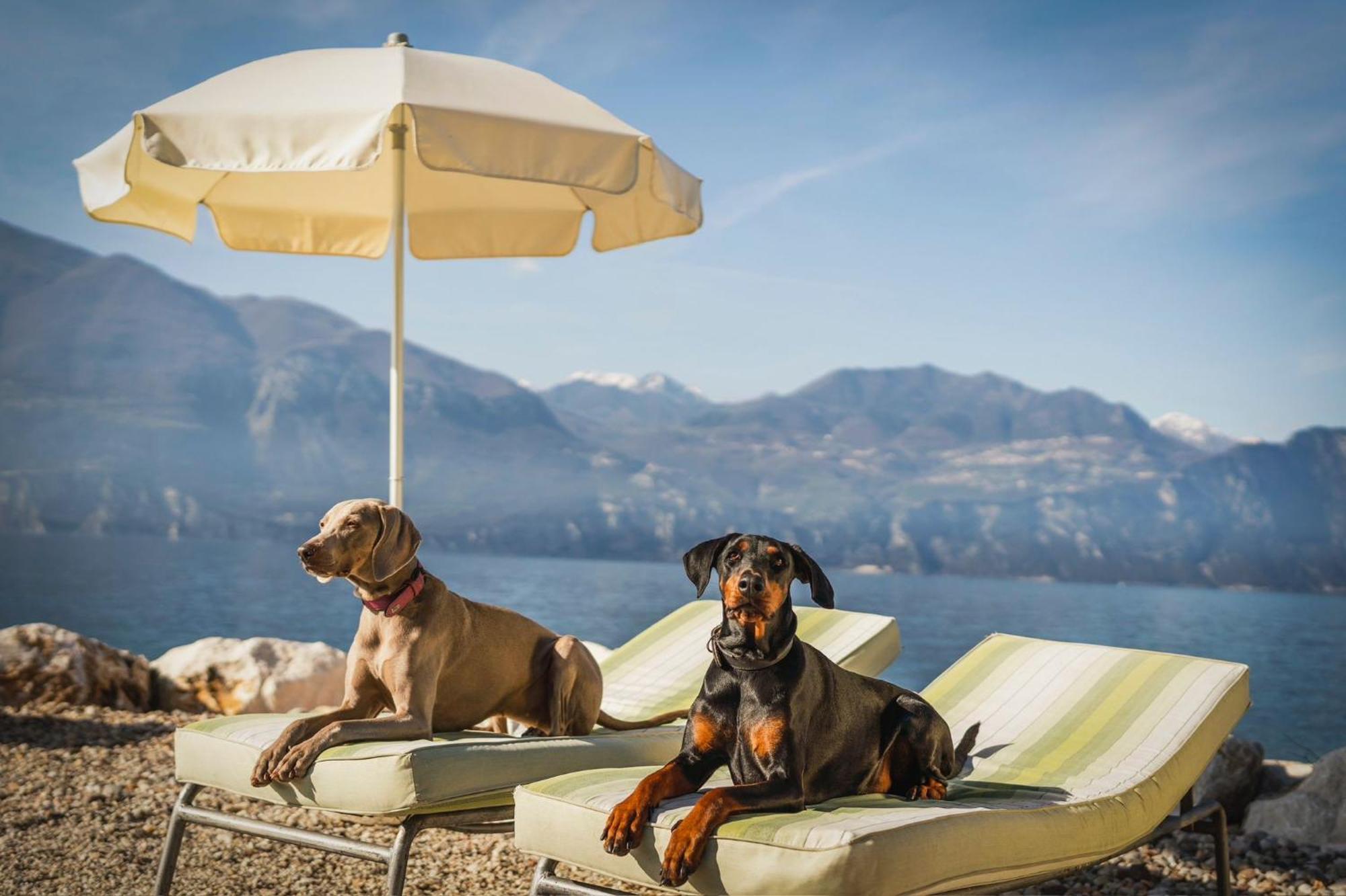 Casa Vacanze Monte Galetto Bussolengo Eksteriør bilde